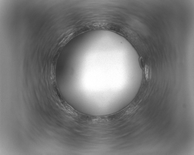 X0000051871107200507221916