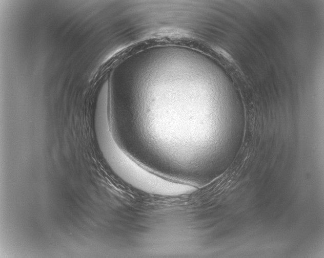 X0000051871112200507221916