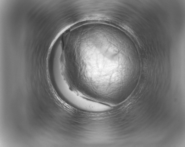 X0000051871120200507221916
