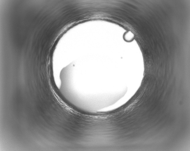 X0000051871126200507221916