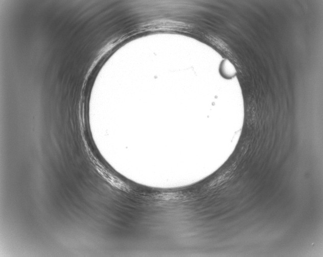 X0000051871130200507221916