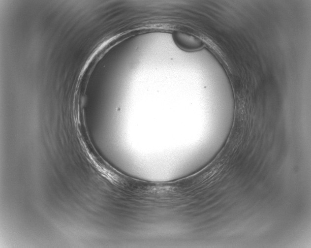 X0000051871131200507221916