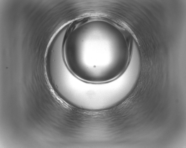 X0000051871132200507221916