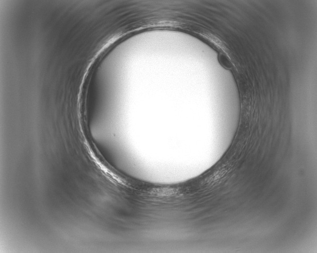X0000051871135200507221916