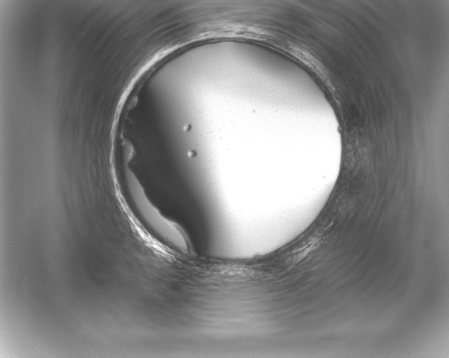 X0000051871136200507221916