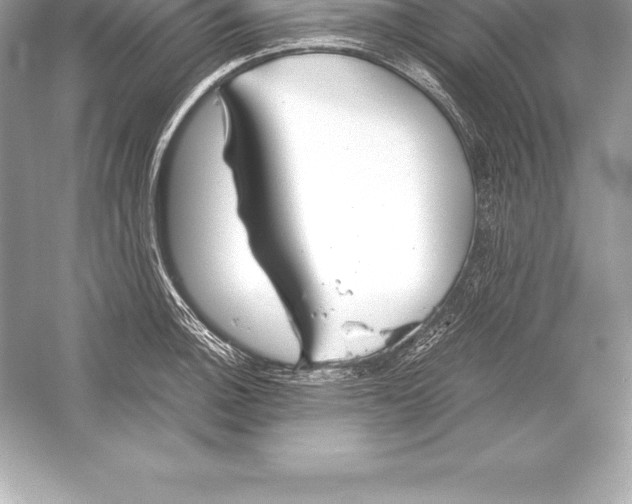 X0000051871140200507221916