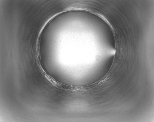 X0000051871148200507221916