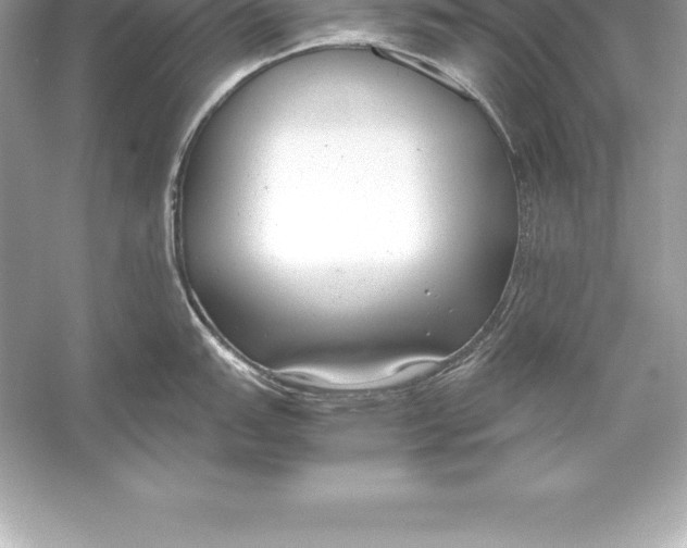 X0000051871151200507221916