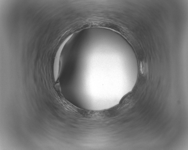 X0000051871155200507221916