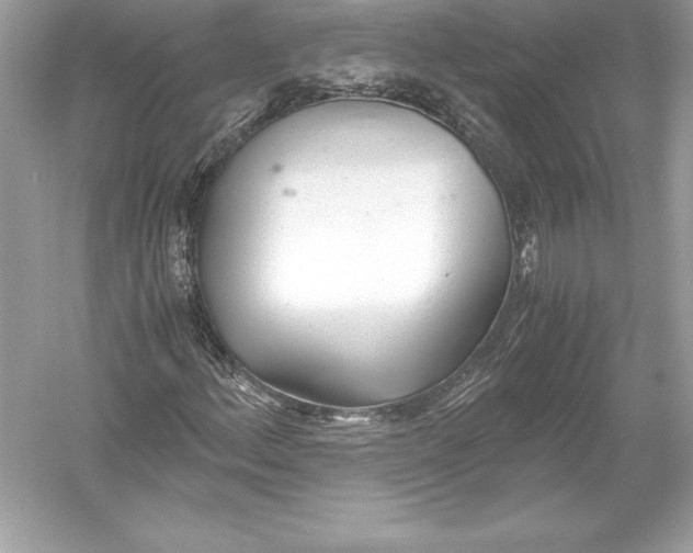 X0000051871156200507221916