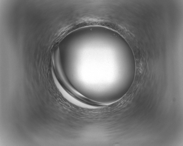 X0000051871157200507221916