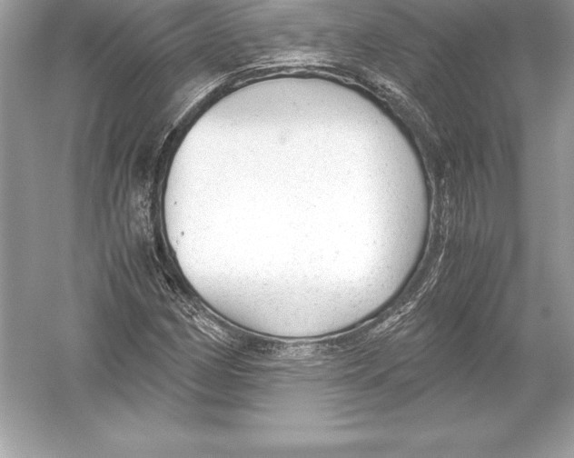 X0000051871162200507221915