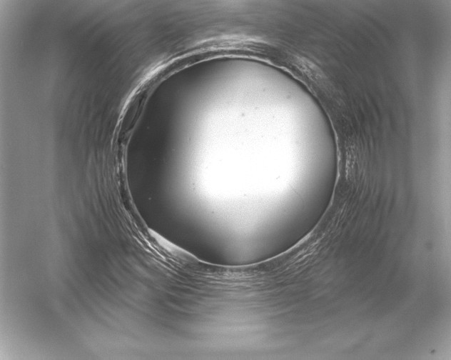 X0000051871164200507221915