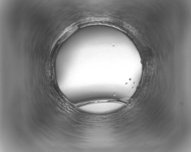 X0000051871165200507221915