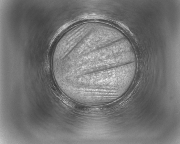 X0000051871167200507221915
