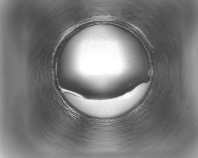 X0000051871168200507221915