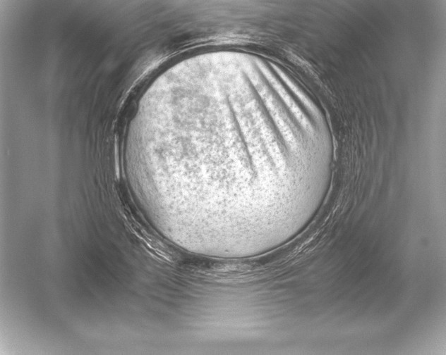 X0000051871171200507221915