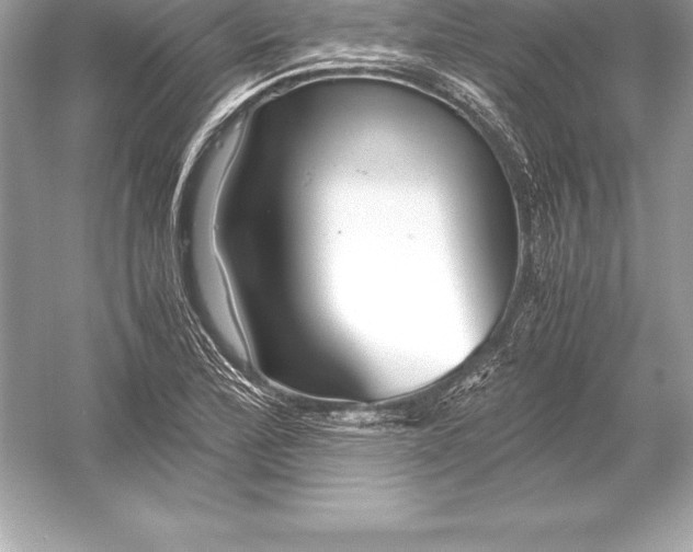 X0000051871172200507221915