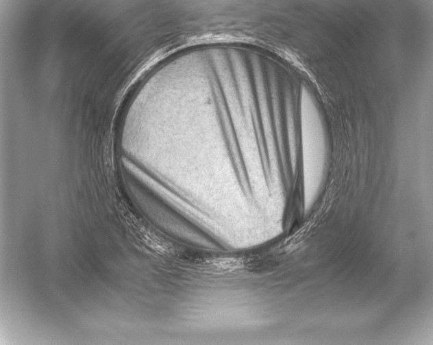 X0000051871173200507221915