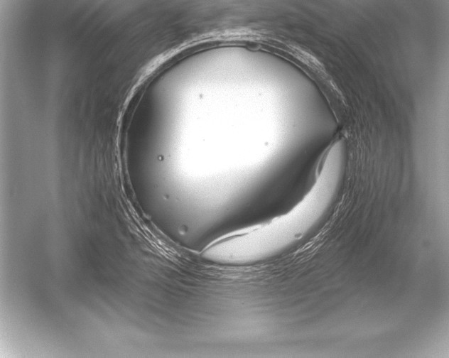 X0000051871176200507221915