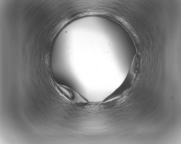 X0000051871185200507221915