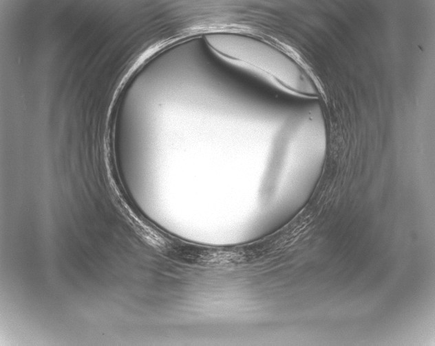 X0000051871187200507221915