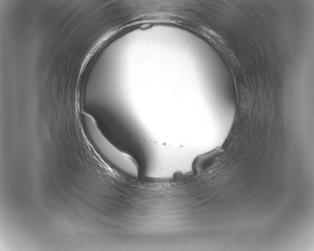 X0000051871188200507221915