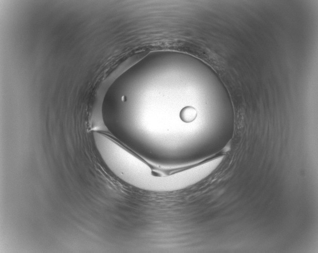 X0000051871202200507221914