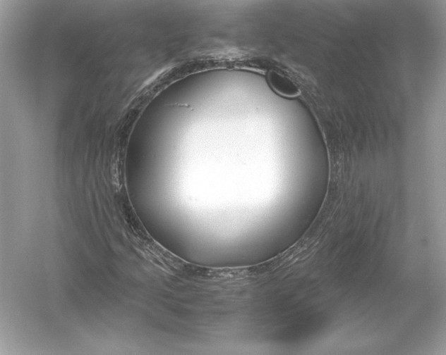 X0000051871205200507221914