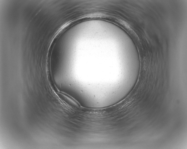 X0000051871229200507221914