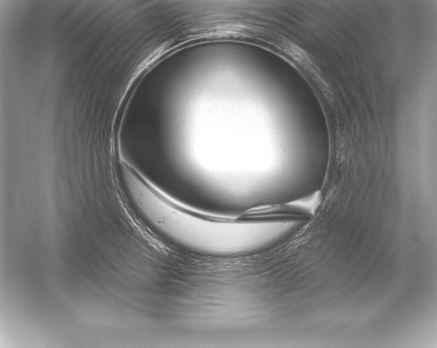 X0000051871234200507221915