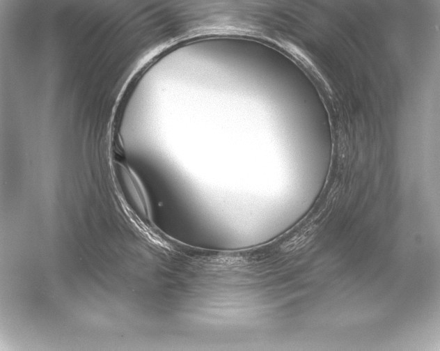 X0000051871238200507221915