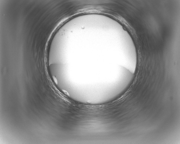 X0000051871240200507221915