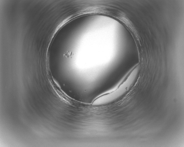 X0000051871242200507221915