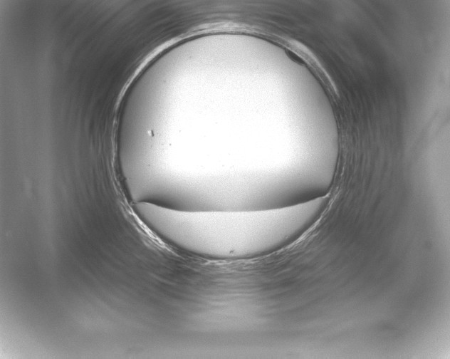 X0000051871244200507221915