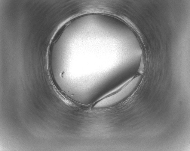 X0000051871246200507221915