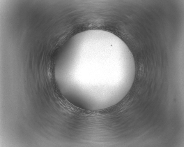 X0000051871250200507221914