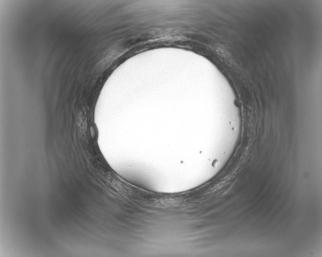 X0000051871257200507221914