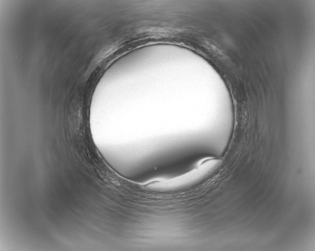 X0000051871261200507221914