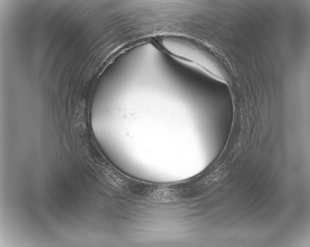 X0000051871265200507221914