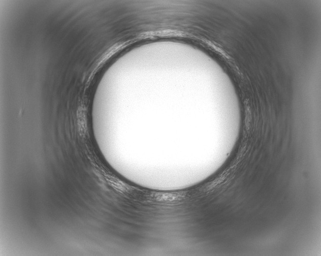 X0000051871266200507221914