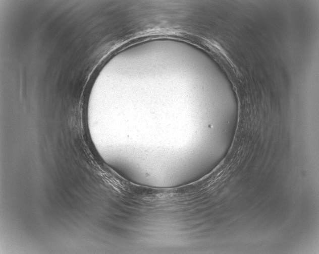 X0000051871268200507221914