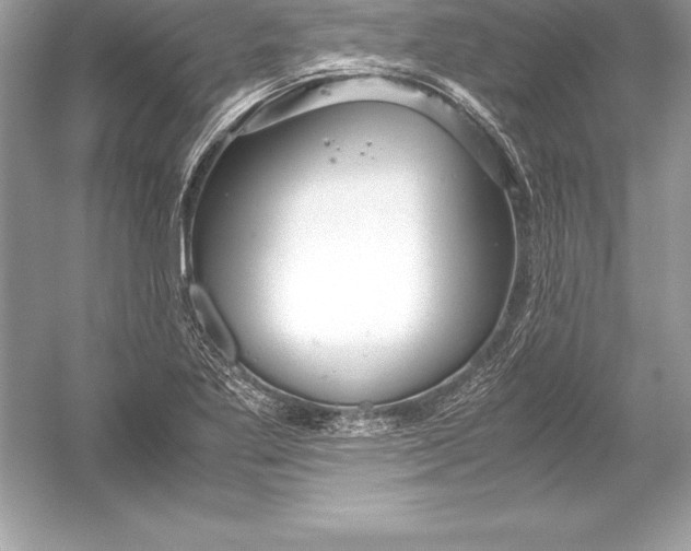 X0000051871269200507221914