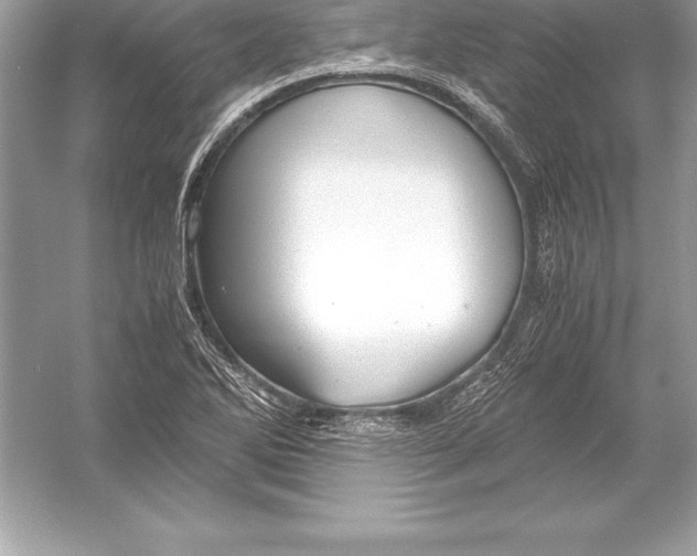 X0000051871270200507221914