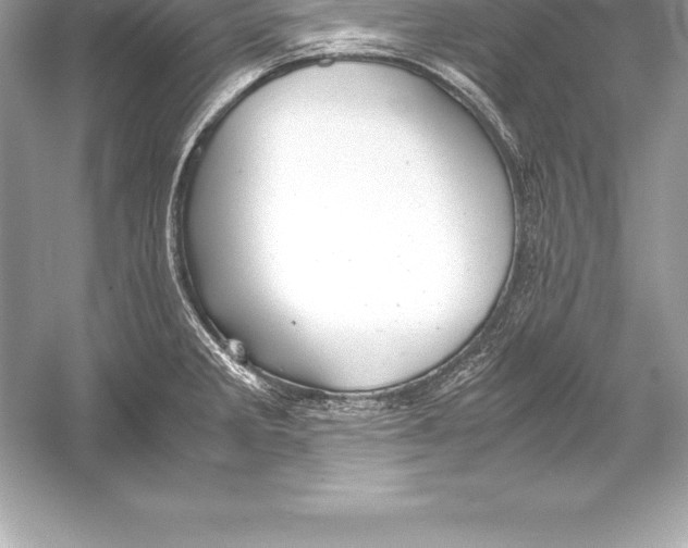 X0000051871285200507221913