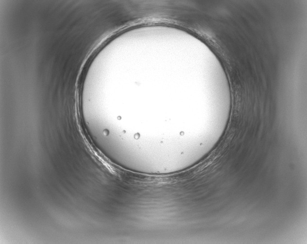 X0000051871286200507221913