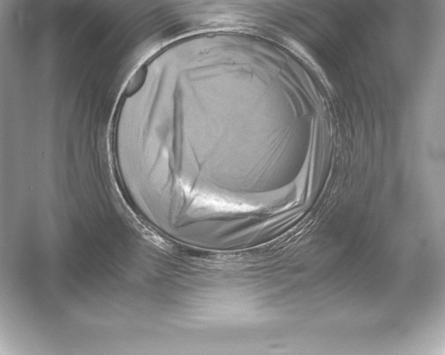 X0000051871291200507221913