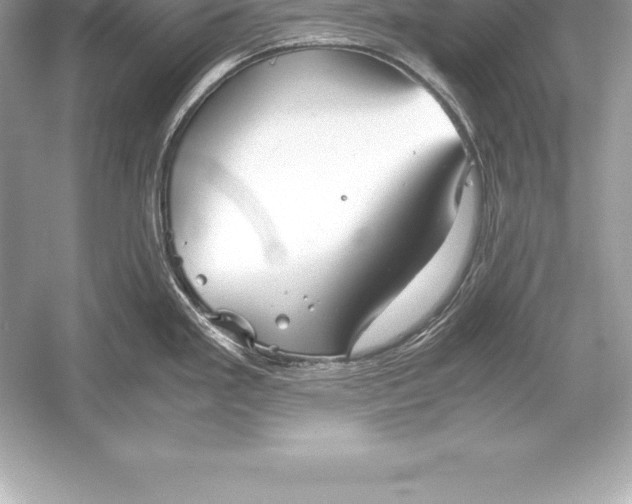 X0000051871293200507221913