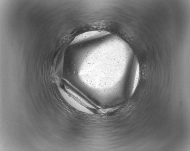 X0000051871298200507221912