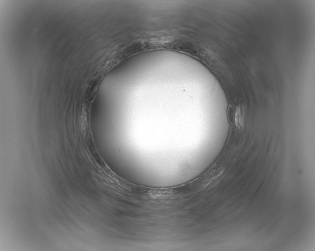 X0000051871299200507221912